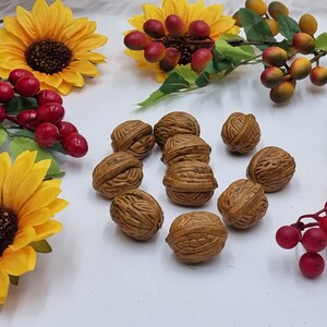 Set of 10 artificial nuts, decor nuts, autumn nuts, autumn decoration, nut decoration, realistic nuts, artificial fruit, for crafts image 2