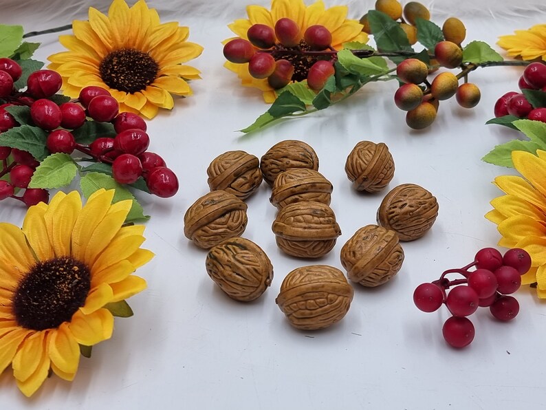 Set of 10 artificial nuts, decor nuts, autumn nuts, autumn decoration, nut decoration, realistic nuts, artificial fruit, for crafts image 2