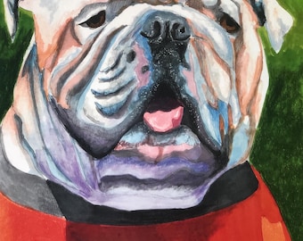 UGA Bulldog Mascot