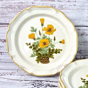 Vintage Mikasa Dinner Plates Petunia Garden Club, Orange Petunias In a Basket, Farmhouse, Country Cottage, Sold In Sets Of Two 70s Mikasa