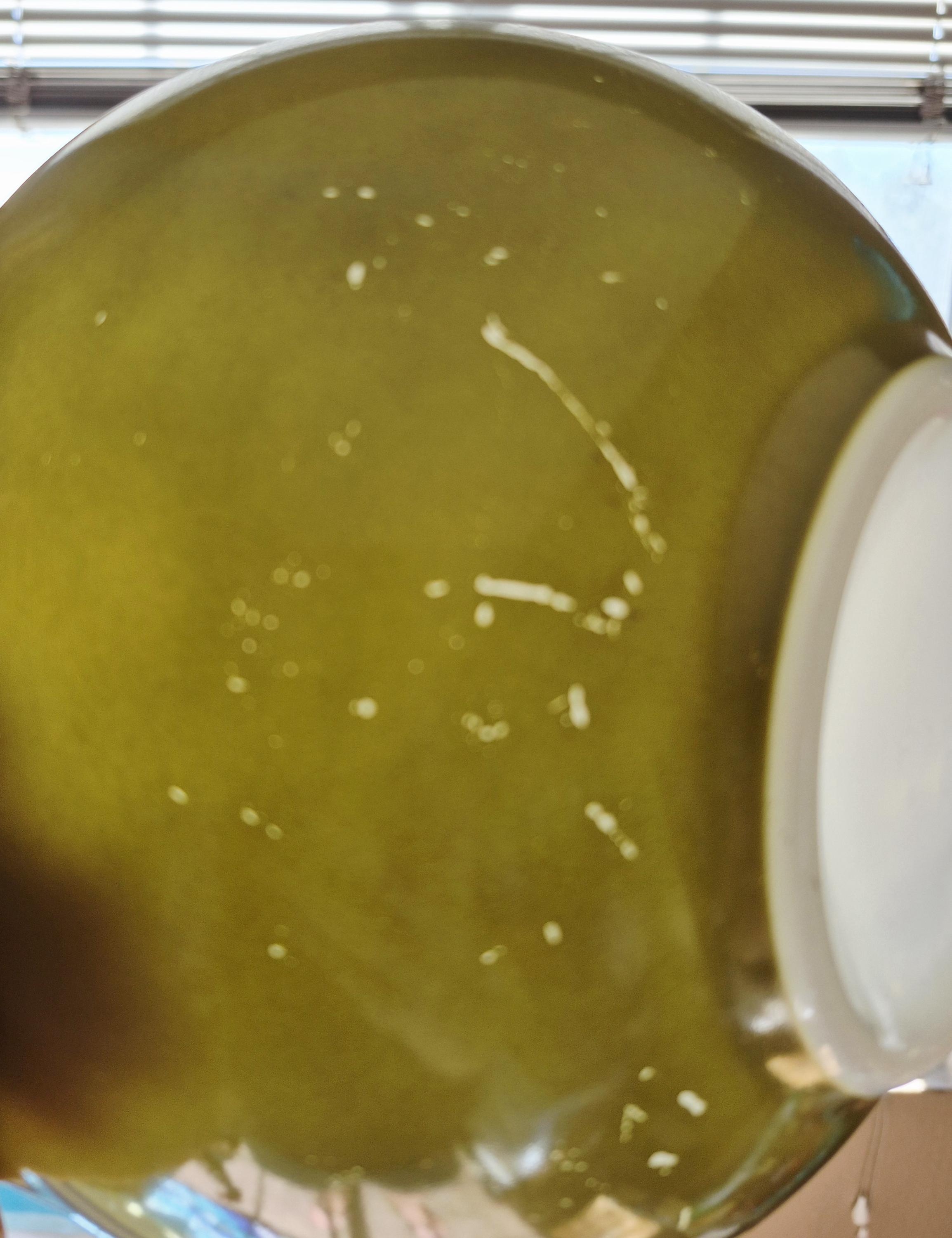 Vintage Pyrex Avocado Green Cinderella Bowl #443 - Pyrex Avocado Green ...