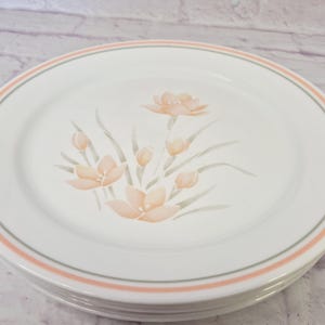 May include: A stack of white ceramic plates with a floral design. Each plate features a peach-colored flower and green leaves in the center. A peach and gray border encircles the rim of each plate, creating a delicate and elegant aesthetic.