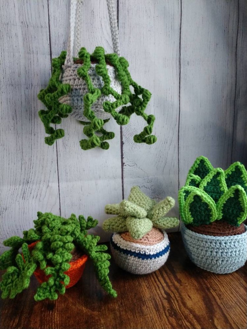Crochet House Plants Etsy