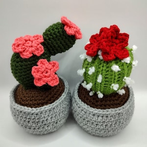 Crochet Cactus