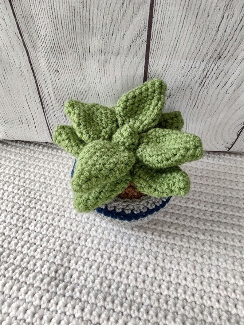 Crochet House Plants Etsy