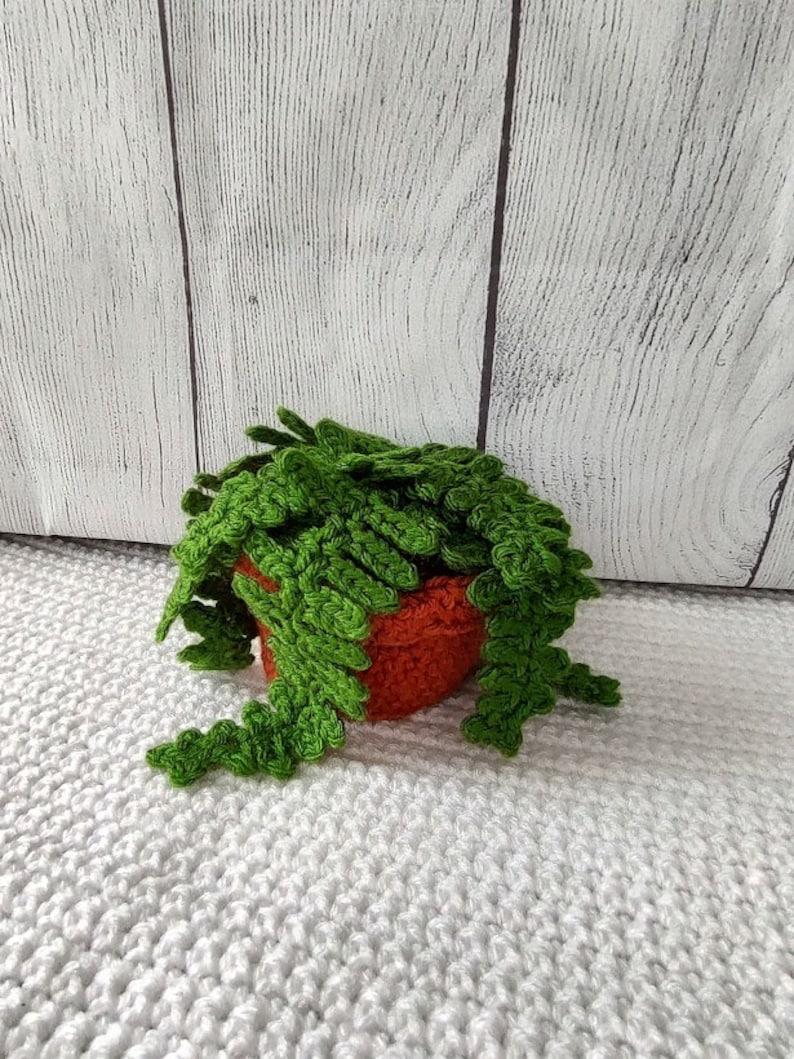 Crochet House Plants Etsy