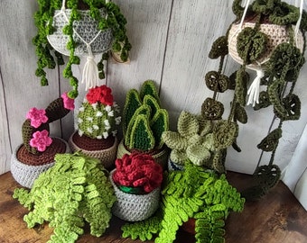 Crochet House Plants