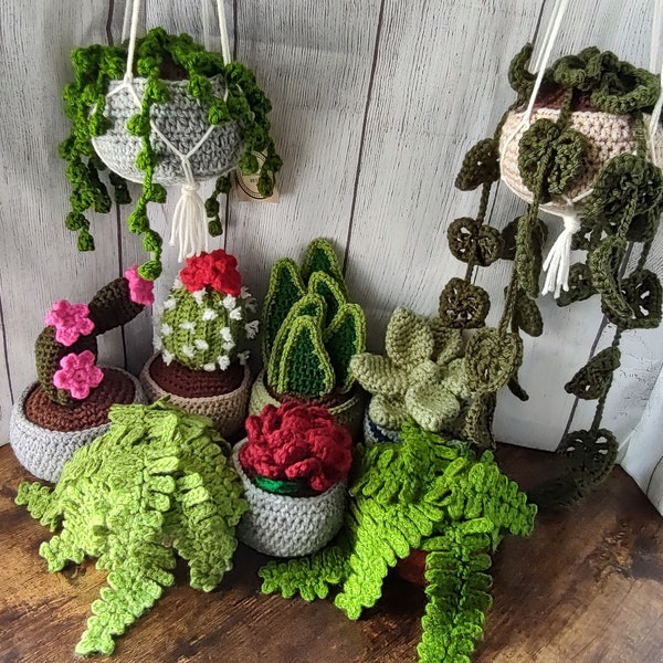 Crochet House Plants