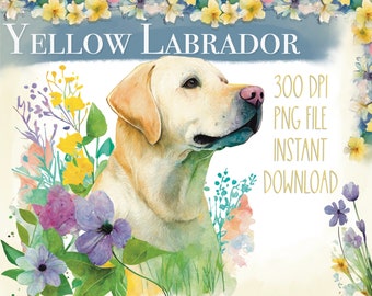 Watercolor Yellow Labrador retriever with spring flowers clipart, whimsical Lab sublimation clipart, dog printable art, instant download