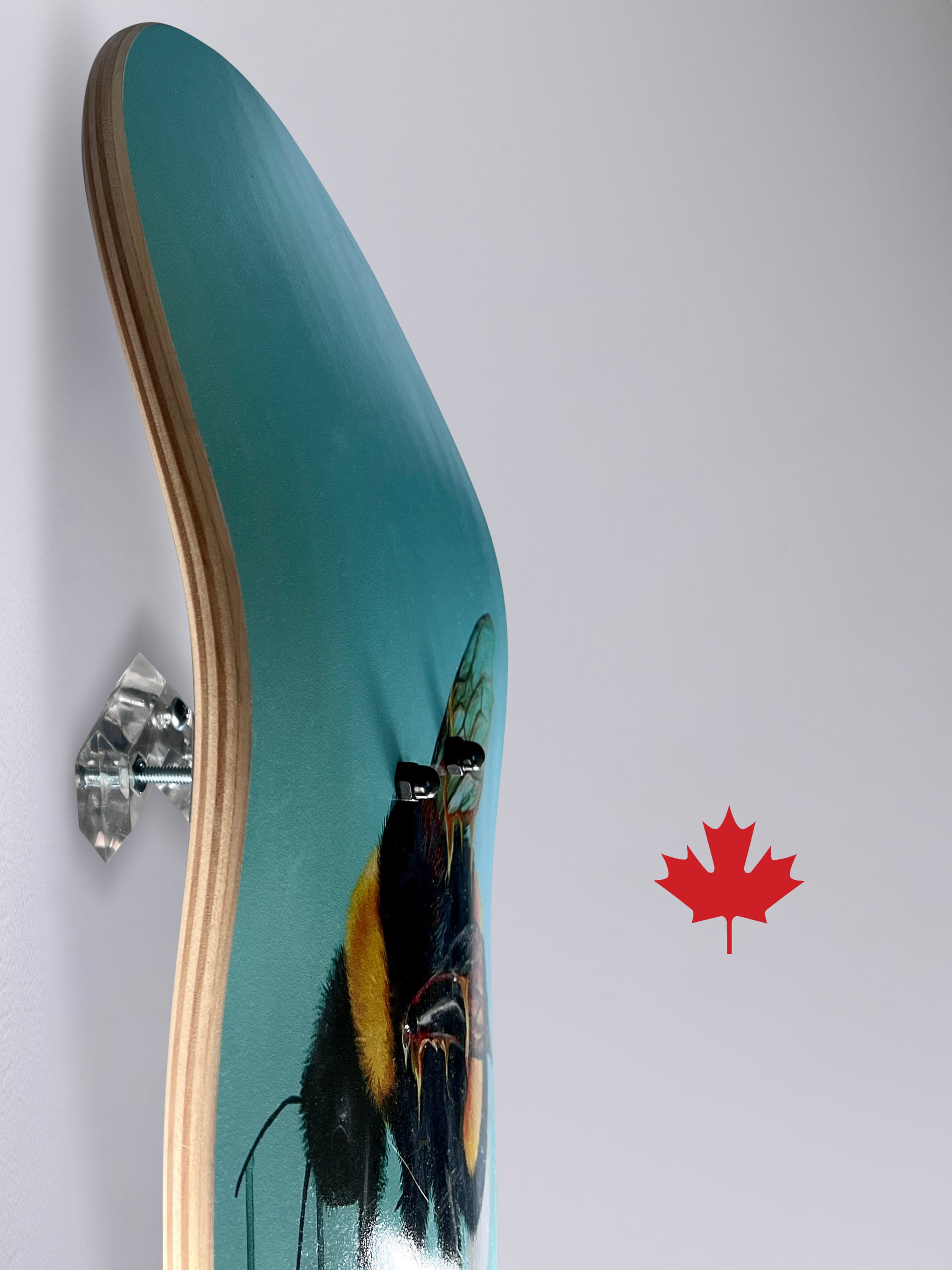 2x Support de Fixation Skateboard Cintre de Murale Planche à