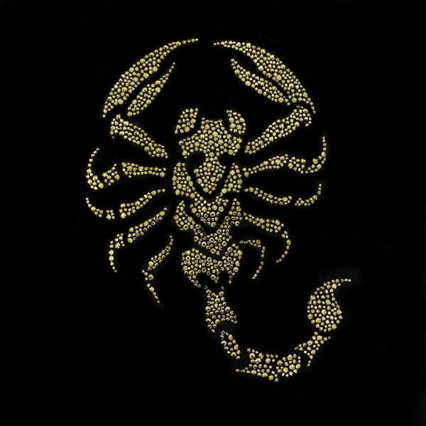 Gold scorpion iron on heat transfer decal patches , hot fix iron on motif designs , Scorpio decal , iron on scorpion applique