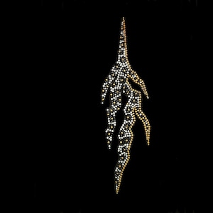 Peut inclure: Une boucle d'oreille en perles dorées et argentées avec un design abstrait unique ressemblant à une branche ou une flamme stylisée.