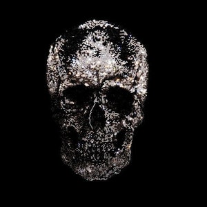 May include: A silver skull made of small, glittering squares against a black background.