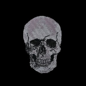 Rhinestone Skull Iron-On Transfer: Bling Applique, Hot Fix Decal