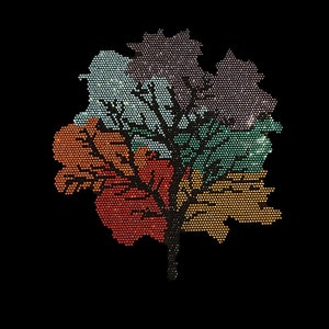 May include: A colourful leaf design made of rhinestones. The leaf is made up of five different coloured sections: red, orange, green, blue, and purple.