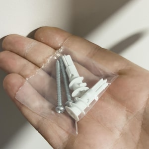 May include: A clear plastic bag containing two silver screws and three white plastic wall anchors. The screws have a Phillips head. The wall anchors are designed to expand when a screw is inserted.