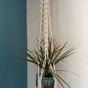 May include: A white macrame plant hanger with a wooden ring at the top and a tassel at the bottom. A green potted plant is hanging in the macrame.