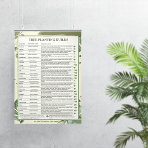 May include: A poster titled "Tree Planting Guilds" with a cream background and green botanical border. The poster lists various trees, their scientific names, and supporting plants. The website planetscooling.com is at the bottom.