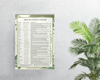 Tree Planting Guilds Poster - Permaculture