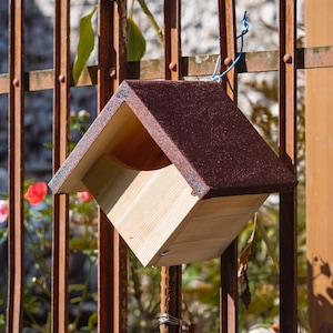 Nest box half-cavity breeder