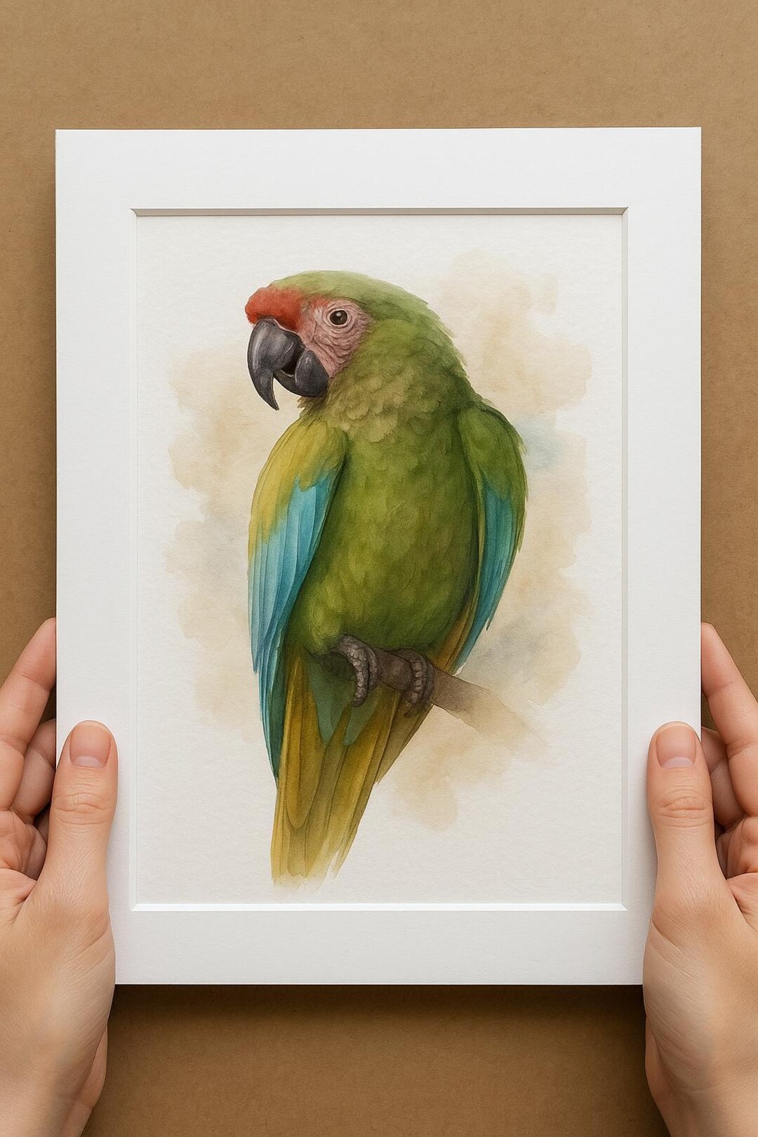 Photo inspiration: Visual Reference: Custom Military Macaw Watercolor Portrait Hand Painted Bird Art