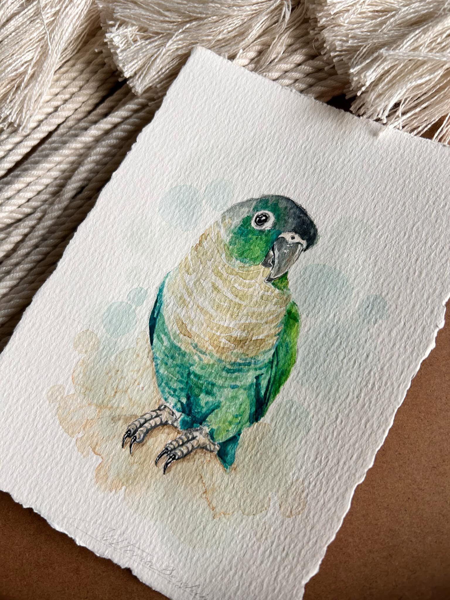 Gallery Detail: Custom Military Macaw Watercolor Portrait Hand Painted Bird Art