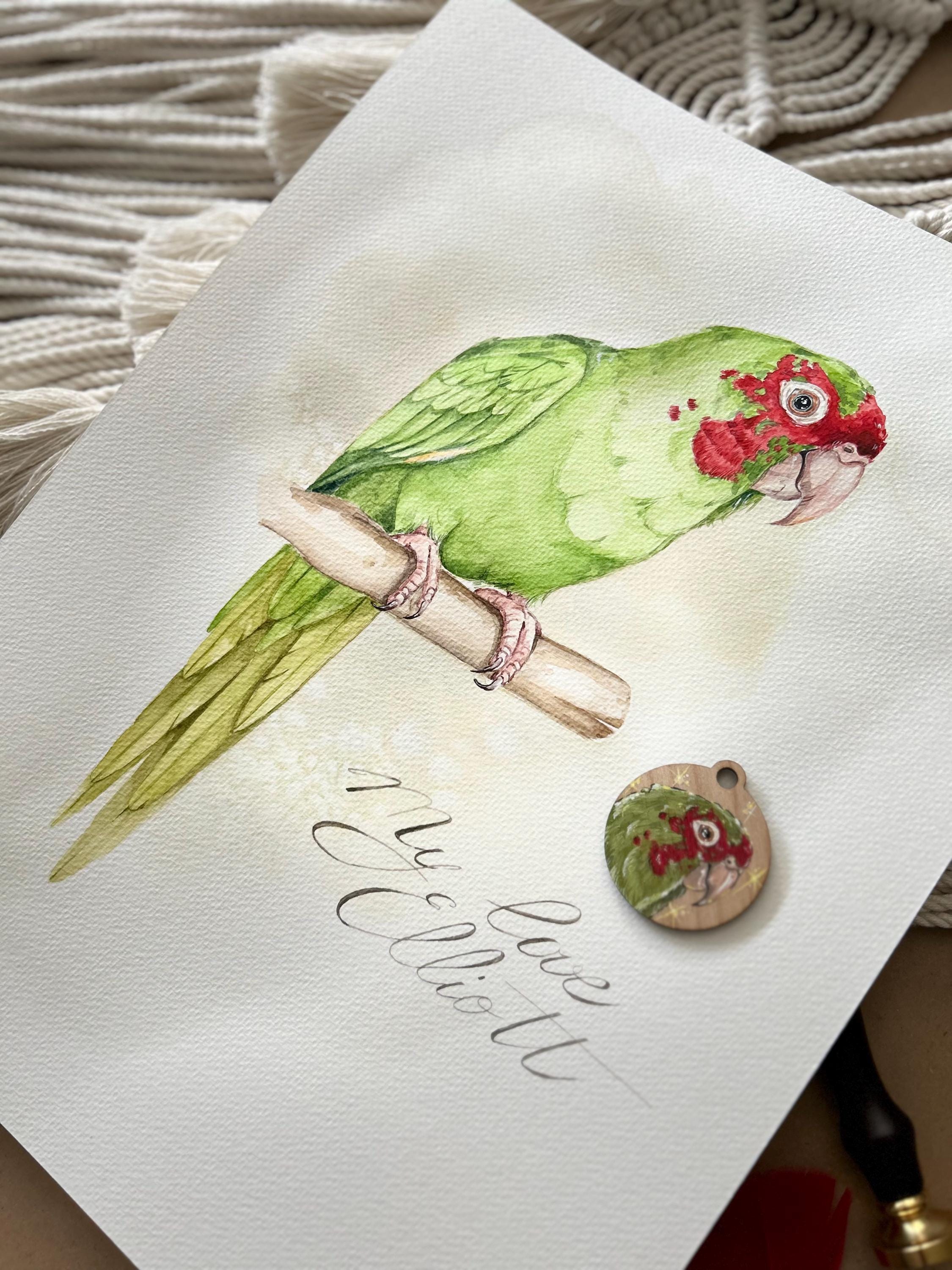 Fresh Look at Custom Military Macaw Watercolor Portrait Hand Painted Bird Art