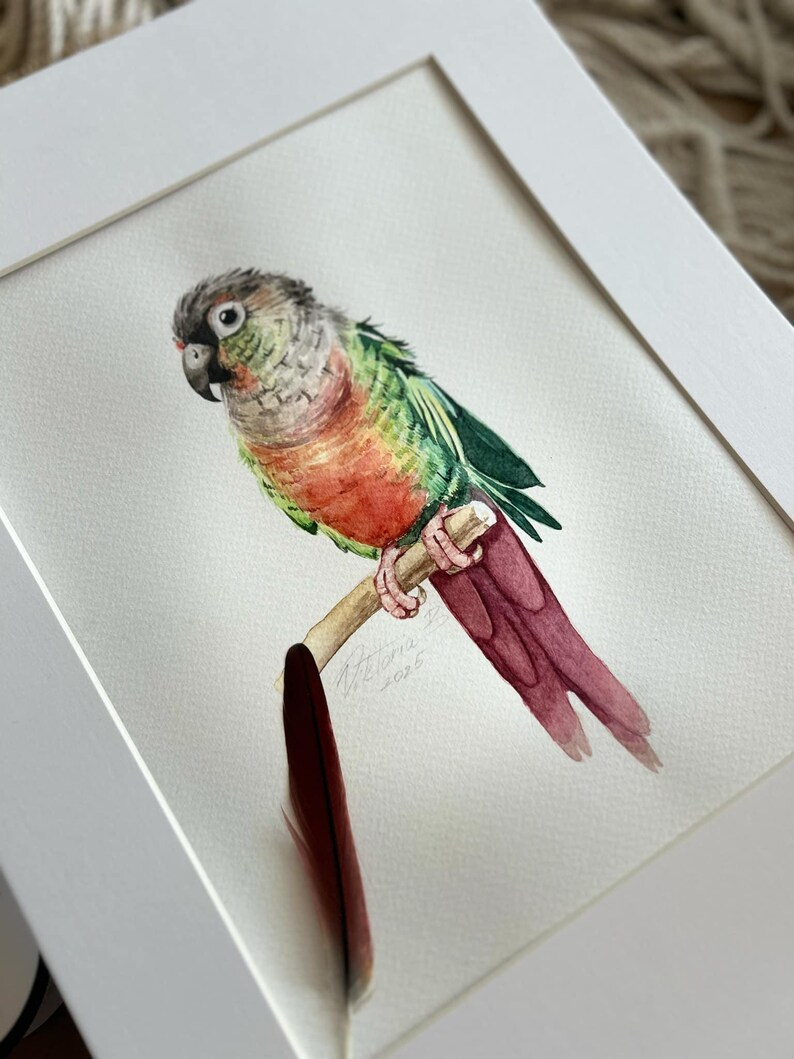 Beautiful view of Ugly Custom Macaw Facing