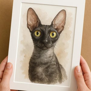 Cornish Rex Portrait From Photo, Watercolor Cat Painting, Personalized Pet Gift, Cat Lover Decor- NO AI USED