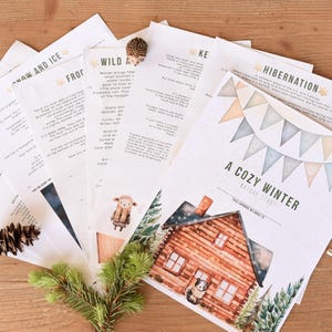 May include: Printed papers with winter illustrations and text, including a title page reading "A Cozy Winter at the Study." The papers are arranged on a wooden surface with pine needles and a pine cone.