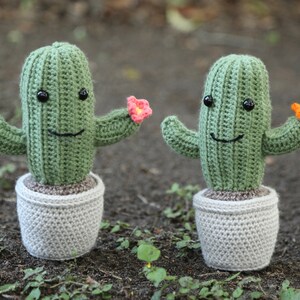 Crochet Cactus with Flower