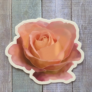 Pink Rose - Vinyl Sticker