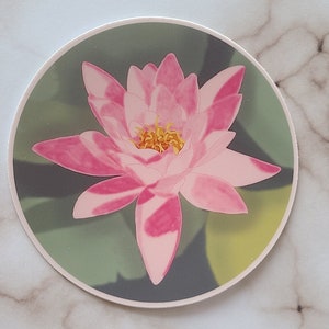 Pink Water Lilly - Vinyl Sticker