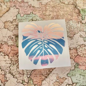 Monstera Leaf Vinyl Decal: Car Window Plant Sticker