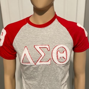 Delta Sigma Theta chenille t shirt