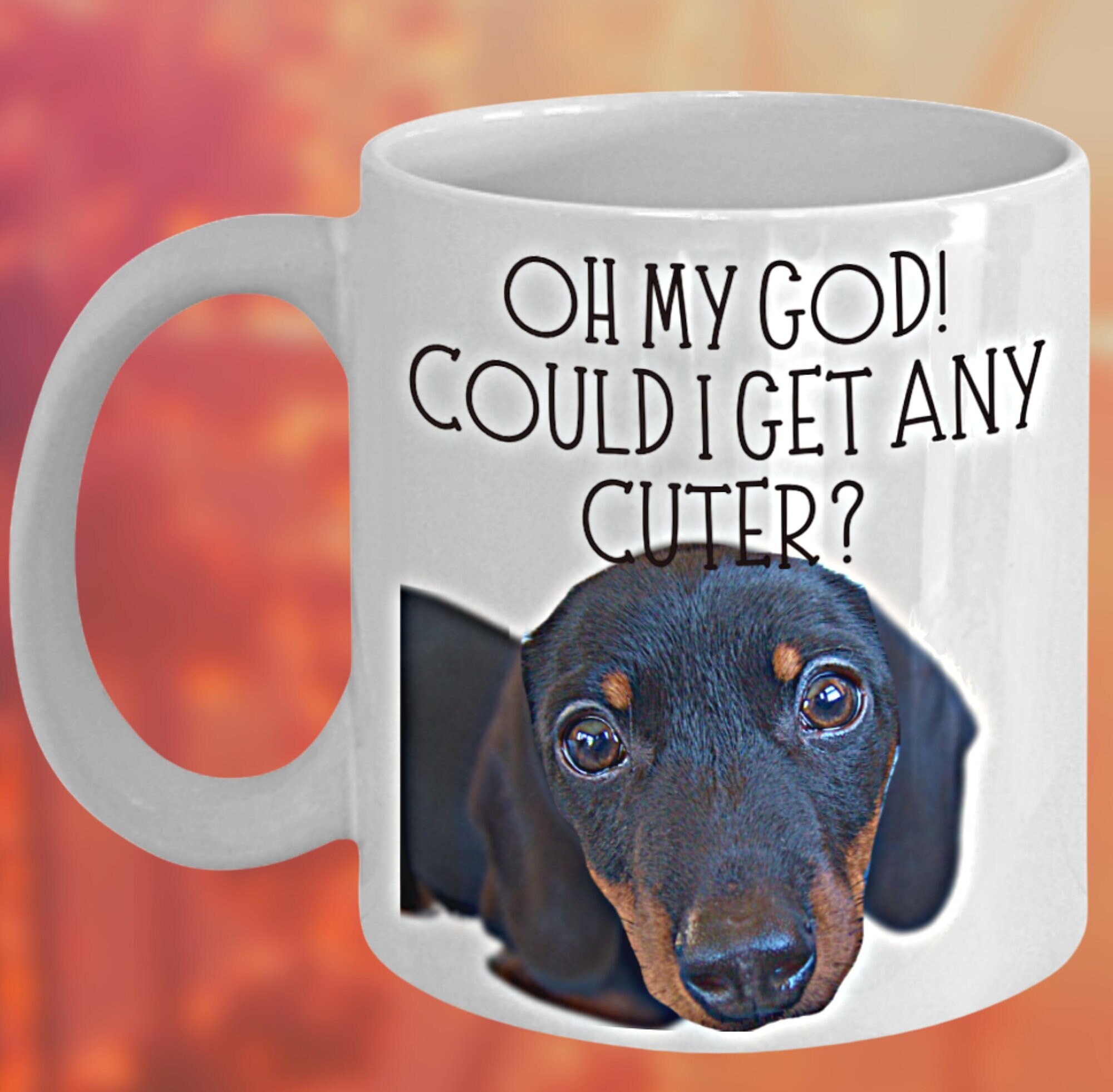 Why Is My Dogs Weiner Out