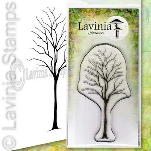 Lavinia Stamps - Birch