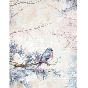 May include: A blue bird perched on a branch of a snow-covered pine tree. The background is a watercolor wash of pink and blue with text printed on it.