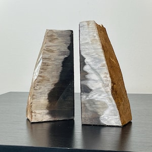 May include: Two petrified wood bookends. The bookends are triangular in shape, with a mix of brown, gray, and white tones. They are displayed on a dark surface against a white background. The bookends are a natural and unique decorative item.