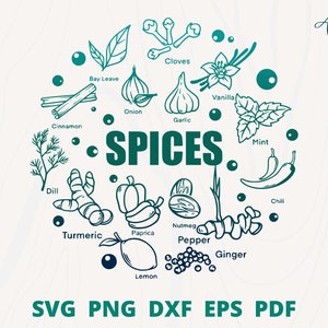 Spices SVG bundle, 27 Kitchen Spice svg, Kitchen Herb svg, Salt svg, Onion svg, Oregano svg, Spices Plotterdatei