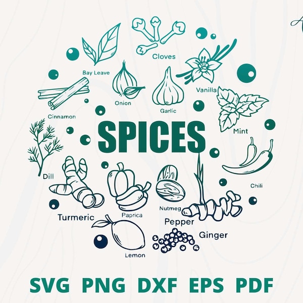 Spices SVG bundle, 27 Kitchen Spice svg, Kitchen Herb svg, Salt svg, Onion svg, Oregano svg, Spices Cut file