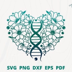DNA svg, Love DNA, Flower DNA svg, Science svg, Floral Dna svg, Genetic Dna svg, Medical svg, Dna Clipart, Biology class room decor