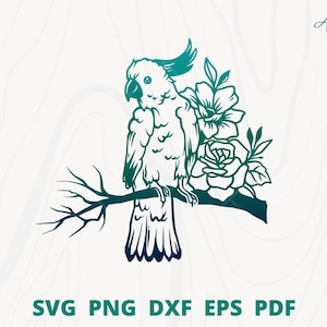 Parrot svg, parrot perched on a branch, Parrot with flower svg, floral Parrot svg, Parrot wall decor, Parrot cut files, Parrot png dxf eps