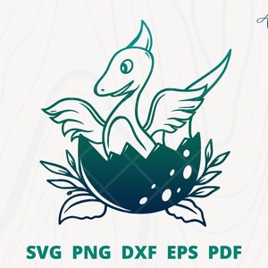 Baby dinosaur svg, baby dino svg png, baby toddler shirt, Baby dinosaur on egg hatch wall decoration, dinosaur svg, dinosaur egg svg