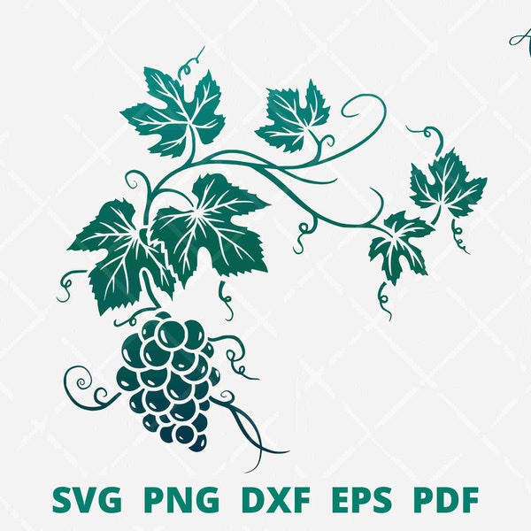 Grapevine svg, grape bunch svg, grape vine wall decor, vine leaves svg, vine branch svg, grape vine vector illustration cut file