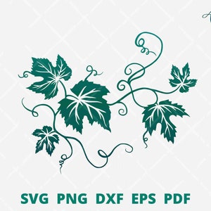 Vine leaves svg, Grapevine svg, grape bunch svg, grape vine wall decor, vine branch svg, grape vine vector illustration cut file