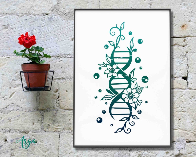 May include: A framed print featuring a teal and green DNA double helix design intertwined with floral and botanical elements. The artwork is set against a white background and framed in black. A potted red flower is to the left.
