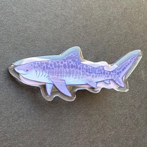 tiger shark hair clip