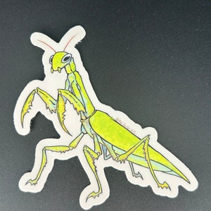 praying mantis sticker