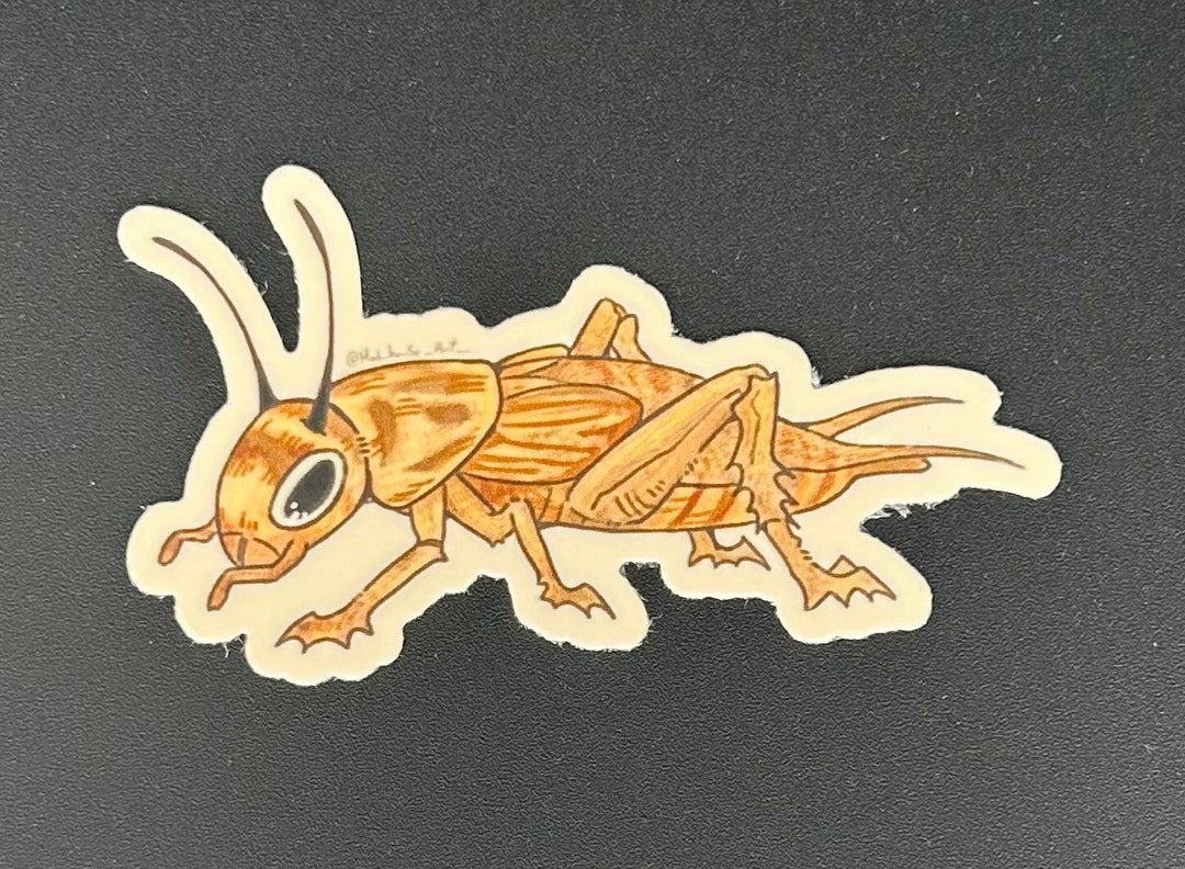 Cricket Sticker - Etsy